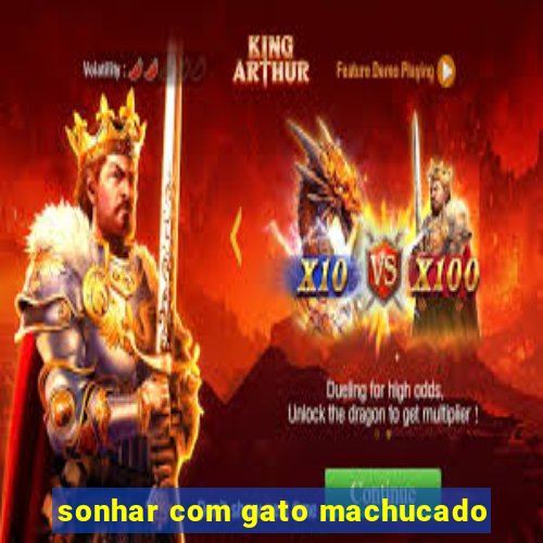sonhar com gato machucado